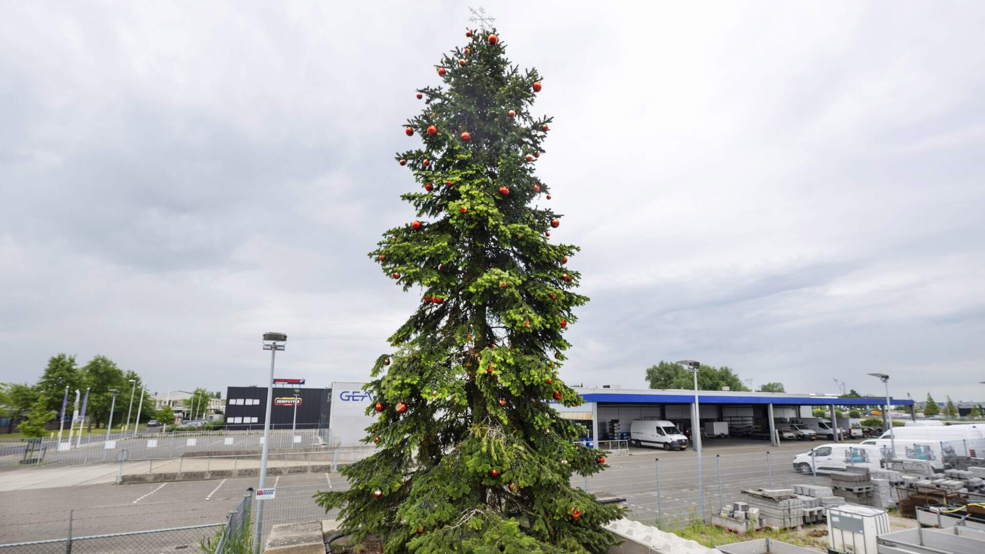 Kerstboom in hartje zomer op industrieterrein in Leeuwarden. © Marcel van Kammen